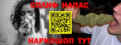 стафф Кингисепп