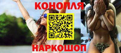 Альфа ПВП Канаш