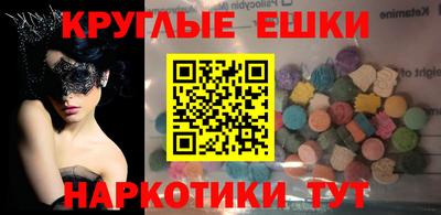 стафф Кингисепп