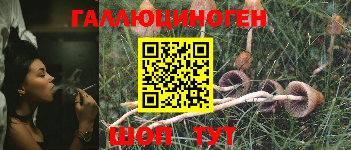 Галлюциногенные грибы прущие грибы  Вход с VPN  Юрга 