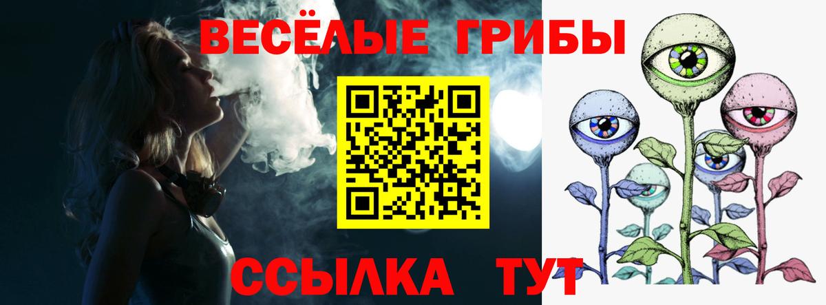 Псилоцибиновые грибы мухоморы Юрга